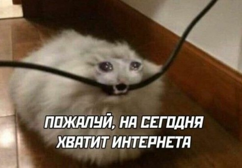 Аргентинская савка.