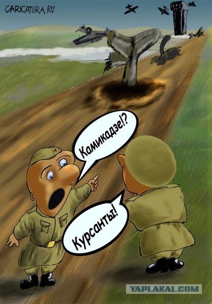 В Росавиации заявили о дефиците пилотов и предложили отказаться от высшего образования