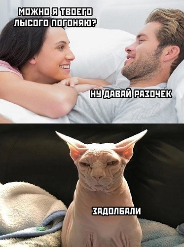 Помянем выходные