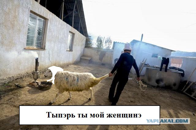 Краденые невесты Кыргызстана