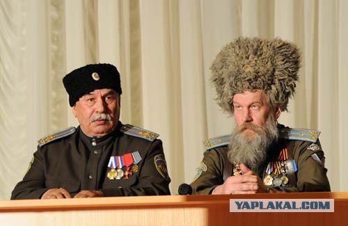 Интересно, у самого главного какое звание?