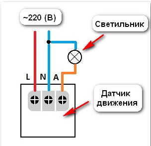 Охрана периметра для взрослых