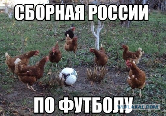 Улыбнуло.