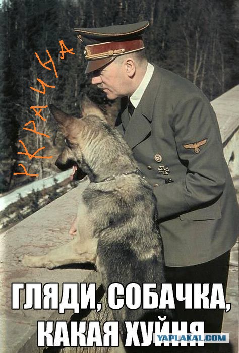 Лукашенко, который смотрит на разные вещи