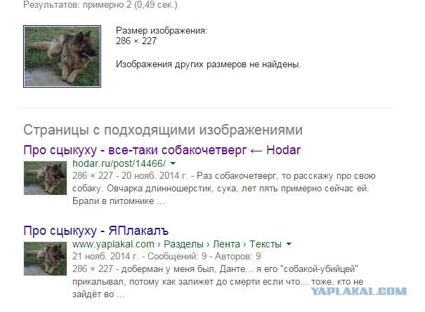 Терпение лопнуло: жители Петербурга, устроили расправу над догхантерами