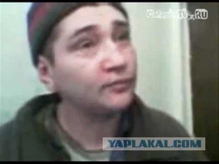 Круговорот оружия в природе