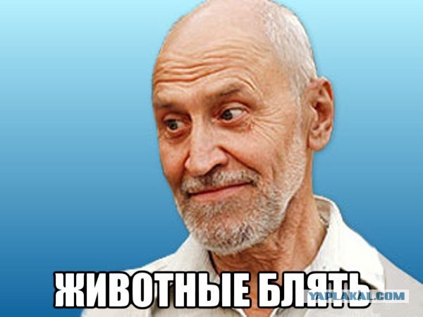 Пьянь на Матизе...