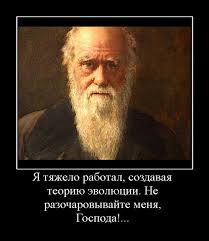 Экстримал