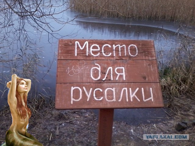 ЯРыдалъ