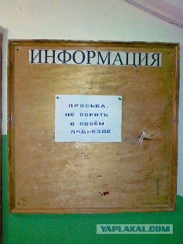 Немного веселых картинок
