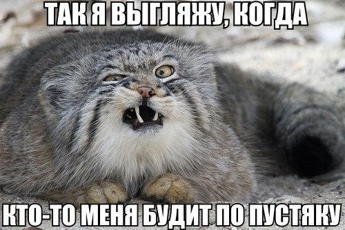 Подборка картинок