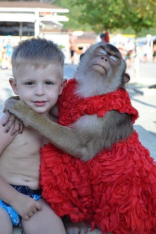 Разные картинки из сети