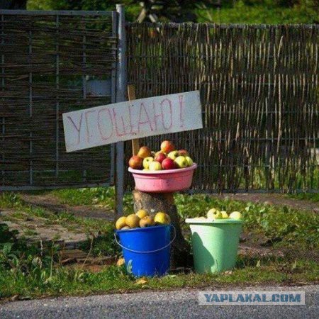 Картинки разные