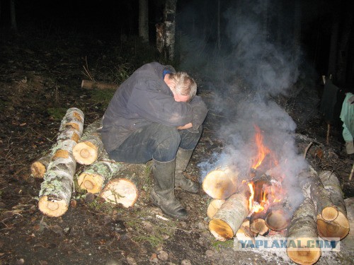 Веппский край, Южная тайга