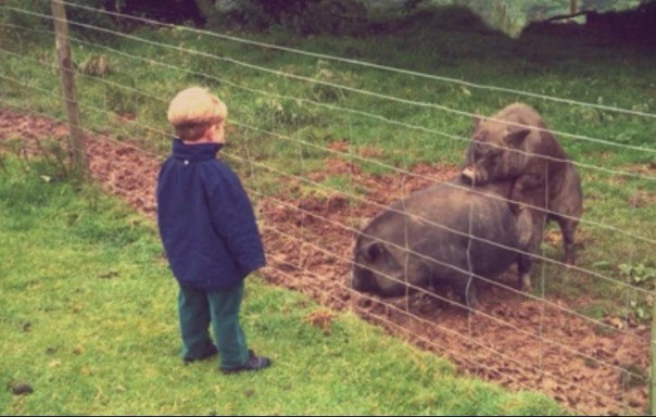 Прикольные картинки
