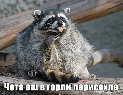 Уже да :) Ужо пятнецца...