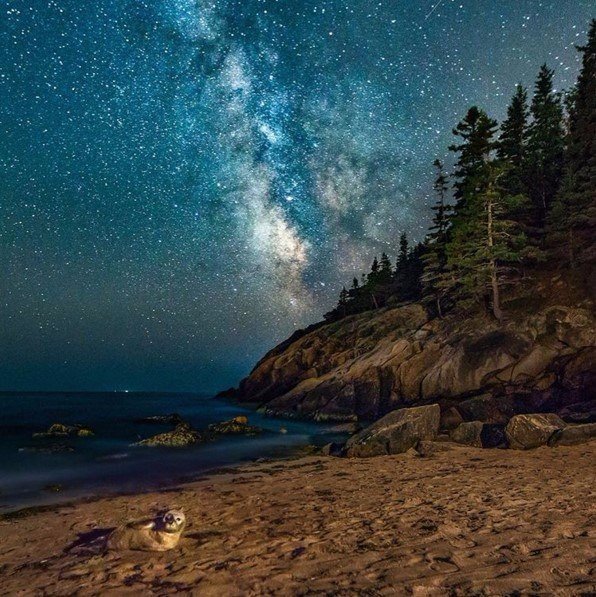 Интересные и веселые картинки