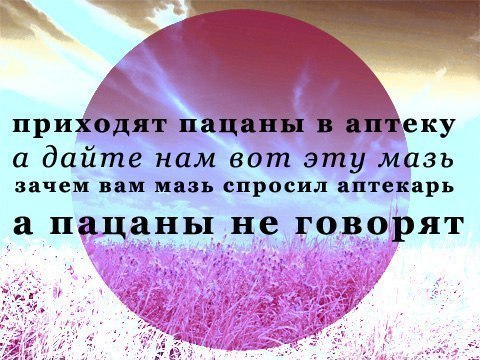 Забавности из интернетов