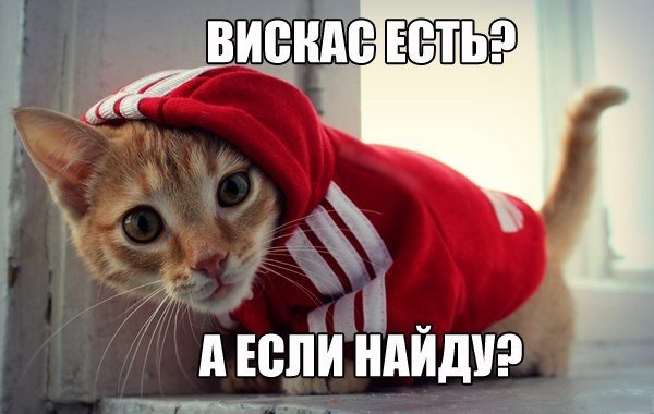 Мохнатые беспредельщики