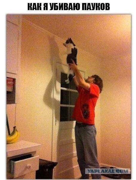 Юмор не для всех