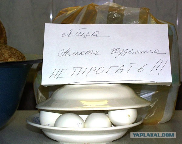 Подборка интересных и веселых картинок