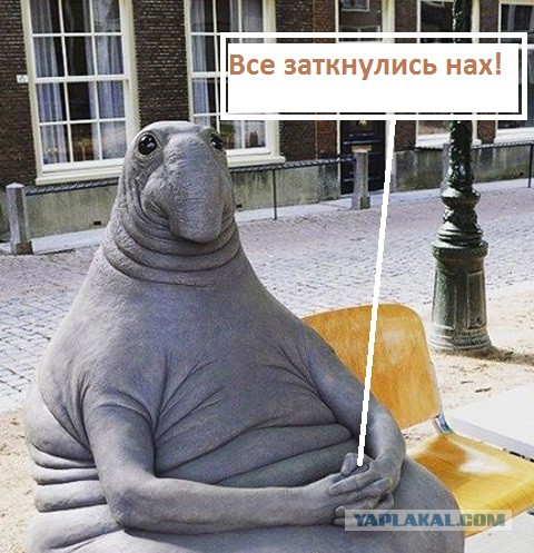 Когда муж остался дома один. Бабам не понять.