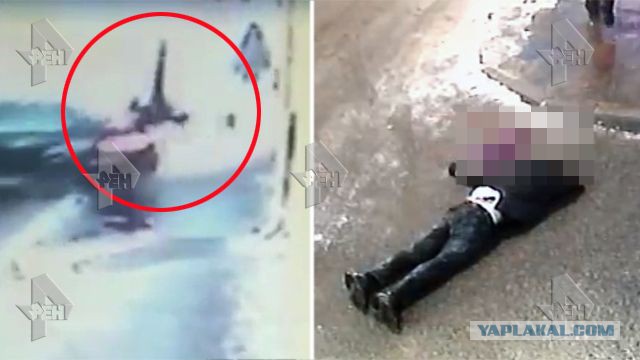 Победа резонанса: водителя "Мерседеса"-убийцы уже доставили в Москву - видео прибытия