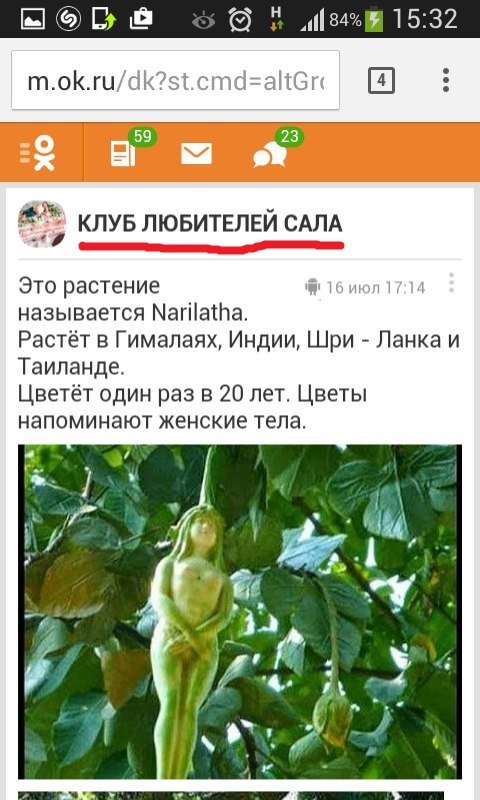 Деграклассники - 8