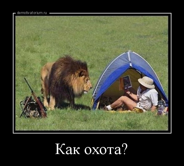 Опасности ночёвки в лесу. История из жизни