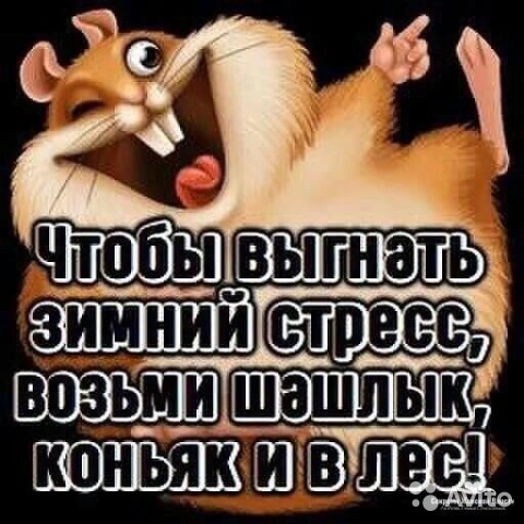 Итоги проверки пользователей
