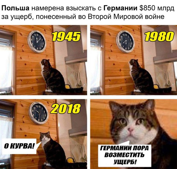 Так себе картинки 14.05.20