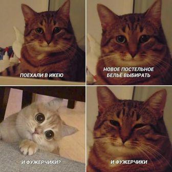 Котомемы