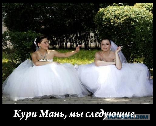 Фотожаба: помощник