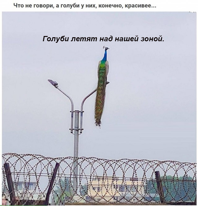 Картинки с надписями и всякие жизненные фразы 27.06.21