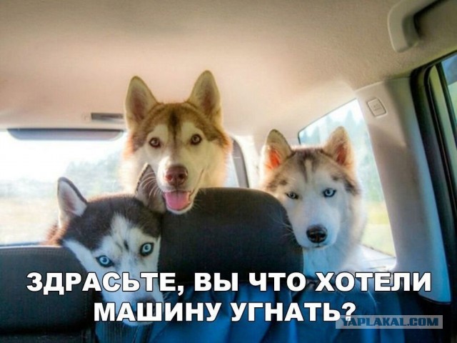 Так себе картинки 18.07.21