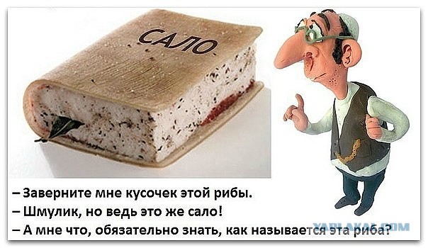 Сало оказалось идеальным продуктом для омоложения организма