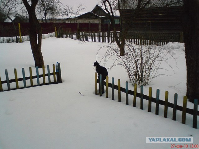 Моя страна.