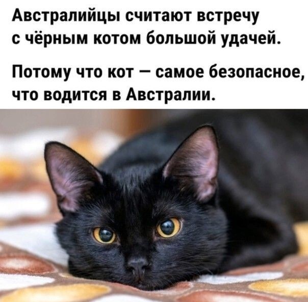Юмор в картинках и без