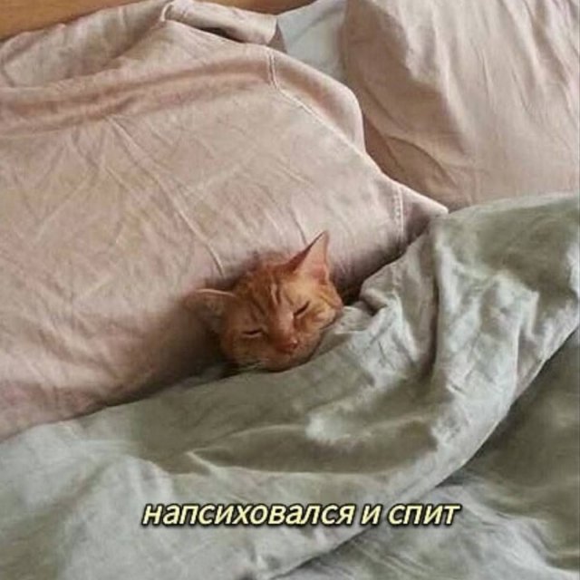 Так себе картинки 15.02.23