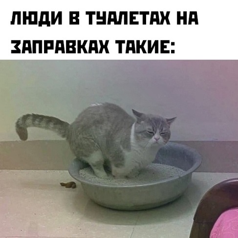 Весёлый полтишок 15.09.23
