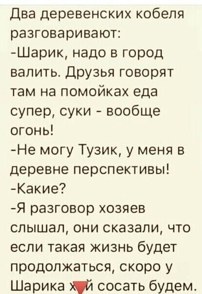 «Будем жить на картошке и хлебе?» Экономисты — о том, к чему приведет отвязка цен от мировых