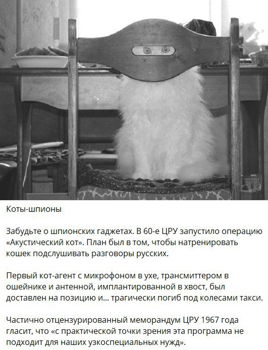 Интересные и редкие ретро-фотографии 05.11.24