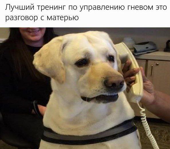 Картинки для деградации 100 (разной степени свежести)