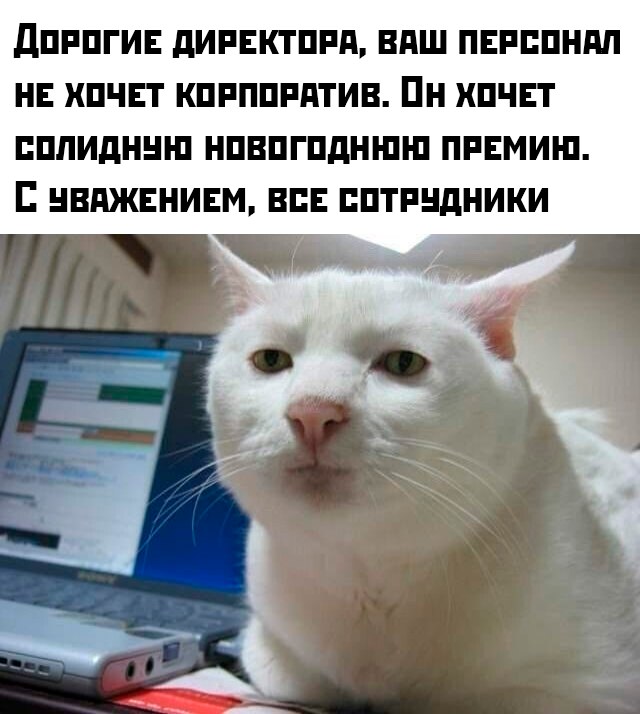 Картиночки, баянчики 11 декабря
