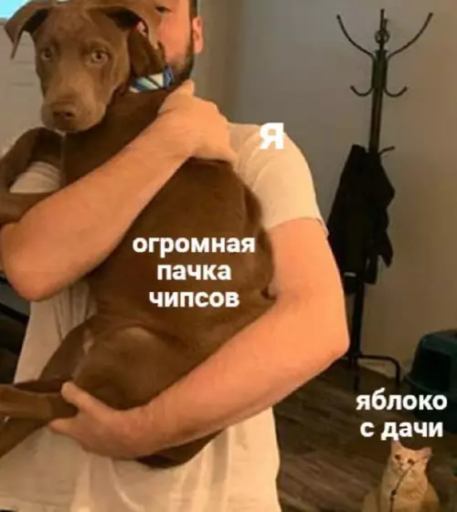 Картиночки, баянчики 11 марта