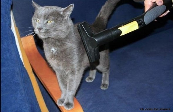 Чёрт, чёрт, чёрт!