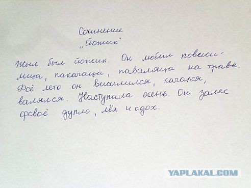 Картинки из этих ваших интернетов