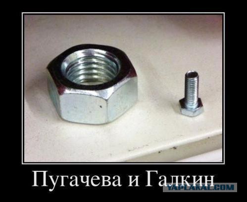 Юмор ниже пояса