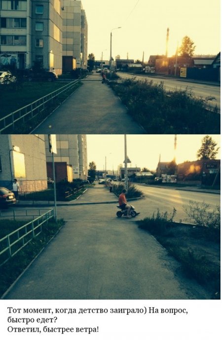 Приколы из сети