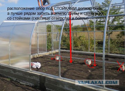 Моя любимая работа: Установка теплицы